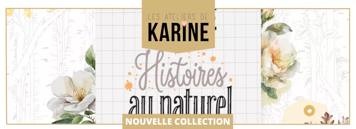 Karine site (2).png