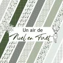 Un air de nol en fort