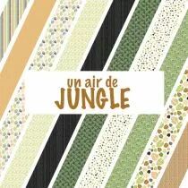 Un air de jungle