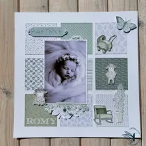 image_1076291_20260422_ob_6c2b0d_page-romy-avec-logo.png