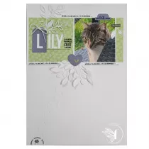 image_1076291_20260615_ob_2689c4_1 (1).png