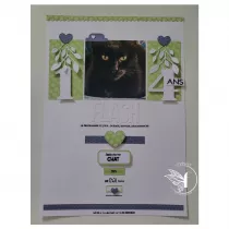 image_1076291_20260615_ob_8d17ef_4 (1).png