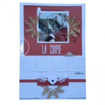 image_1076291_20260712_ob_3324f1_6 (1).png