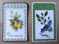image_1076291_20260808_ob_937ad4_tags-et-cartes-anniv-aout-26-b (1).jpg