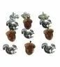 12 brads Acorn/Squirrel