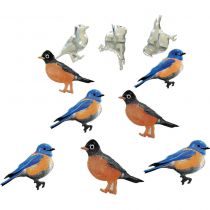 12 brads Blue Bird & Robin
