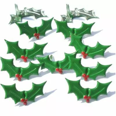 12 brads Holly