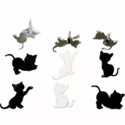 12 brads Kitten
