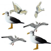 12 brads Seagull