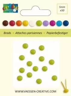50 BRADS 5MM Vert