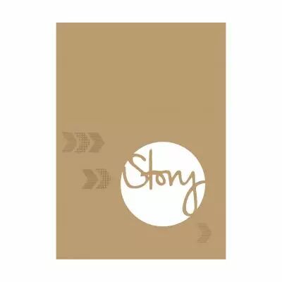 ALBUM 21x15 STORY