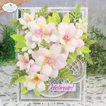 Bohemian Rose Die Rose Companion Flower