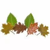 BRADS FEUILLES
