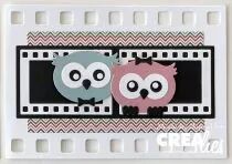 Cardzz meurt non. 330, Twist & Pop A5, Panels & Leporello & Mini livret de pellicules