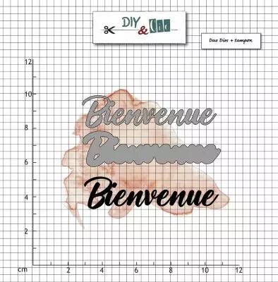 COMBO DIES ET TAMPON TRANSPARENT - BIENVENUE