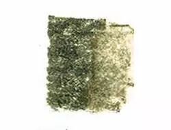CRAYON � ENCRE AQUARELLABLE INKTENSE - CHENE - 1730