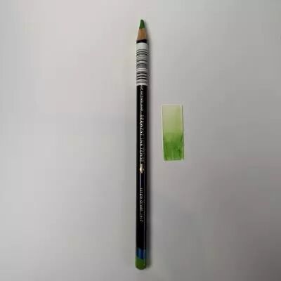 CRAYON � ENCRE AQUARELLABLE INKTENSE - forest green