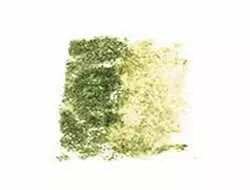 CRAYON � ENCRE AQUARELLABLE INKTENSE - VERT FEUILLE - 1600