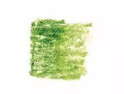 CRAYON � ENCRE AQUARELLABLE INKTENSE - VERT PRINTEMPS - 1550