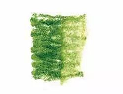 CRAYON � ENCRE AQUARELLABLE INKTENSE - VERT RETRO - 1530