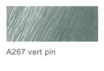 Crayon couleur A. Dürer 267 - pine green