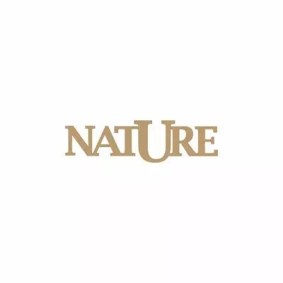 DECO MOT MDF 3 MM NATURE