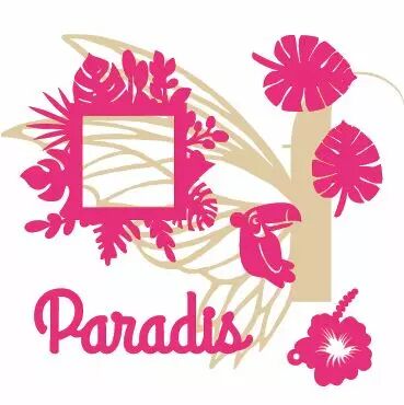 DECOS EN PLEXI PARADIS COULEUR AU CHOIX