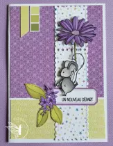 die bande de timbres