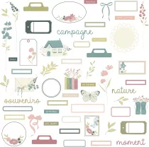 Die Cuts