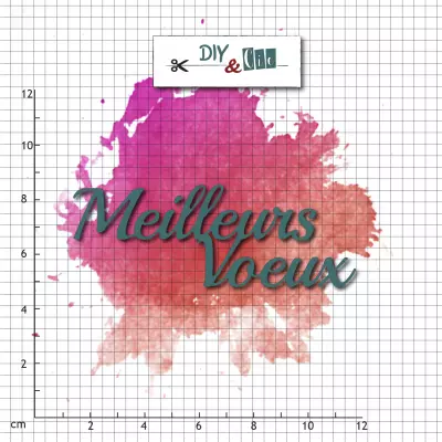  Die meilleurs voeux - DIY and Cie