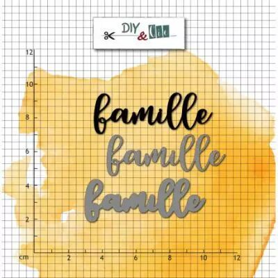 DIES ET TAMPONS TRANSPARENTS - Famille