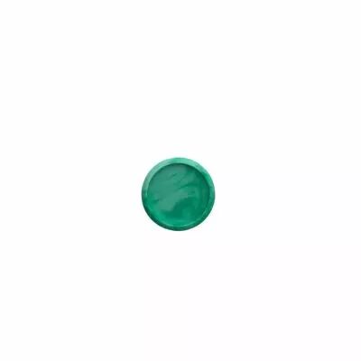 Disque de reliure en plastique 2,4 cm menthe marbr�