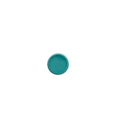 Disque de reliure en plastique 2,4 cm turquoise