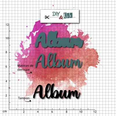 Duo die-tampon clear : Album - DIY and Cie