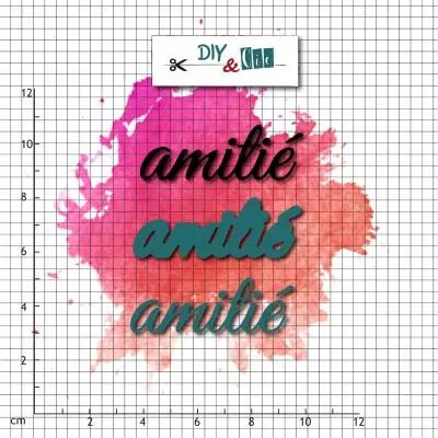 Duo die-tampon clear : Amiti� - DIY and Cie