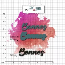 Duo die-tampon clear : Bonnes - DIY and Cie