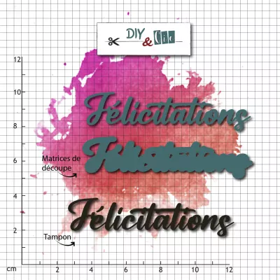 Duo die-tampon clear : Felicitations