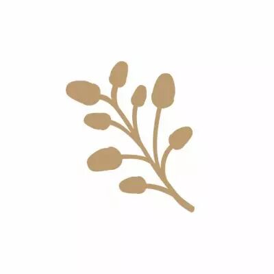 EMBELLISSEMENT BOIS FEUILLAGE A GLANDS