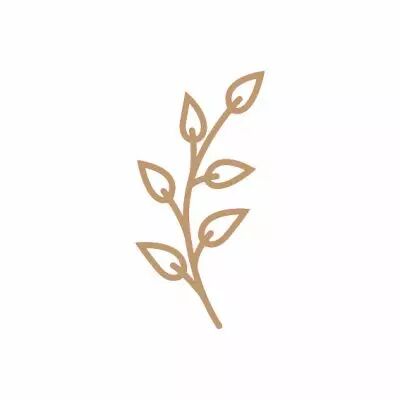 EMBELLISSEMENT BOIS FEUILLAGE EVIDE