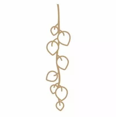 EMBELLISSEMENT BOIS FEUILLE DE DISCHIDIA