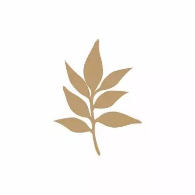 EMBELLISSEMENT BOIS FEUILLE DELICATE