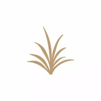 EMBELLISSEMENT BOIS HERBE