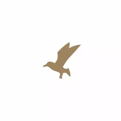 EMBELLISSEMENT BOIS MOUETTE ENVOL