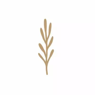 EMBELLISSEMENT BOIS PLANTE GRASSE 1