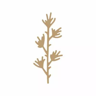 EMBELLISSEMENT BOIS PLANTE GRASSE