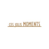 EMBELLISSEMENT CES JOLIS MOMENTS