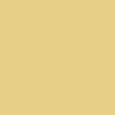 Encre Distress Oxide Spray - jaune - scattered straw
