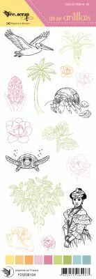 Etiquette un air antillais - illustrations p�lican
