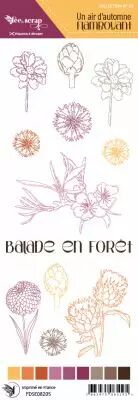 Etiquette un air d\'automne flamboyant  - illustrations fleurs
