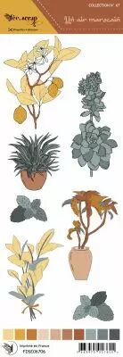 �tiquette un air marocain - plantes et fleurs